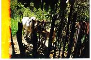 paraje las Brujasa sjm 003.jpg